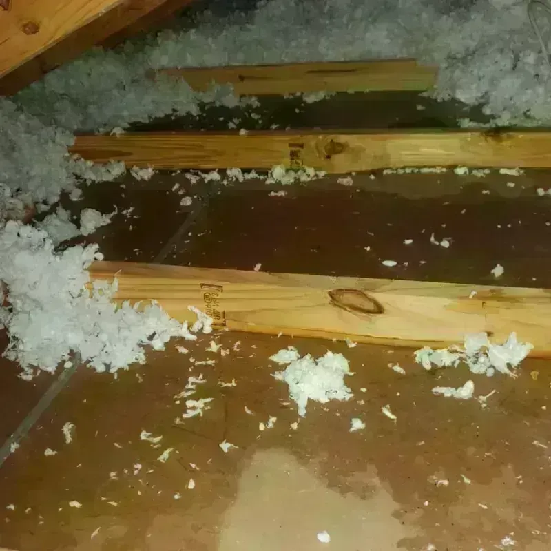 Attic Water Damage in Mount Gay-Shamrock, WV